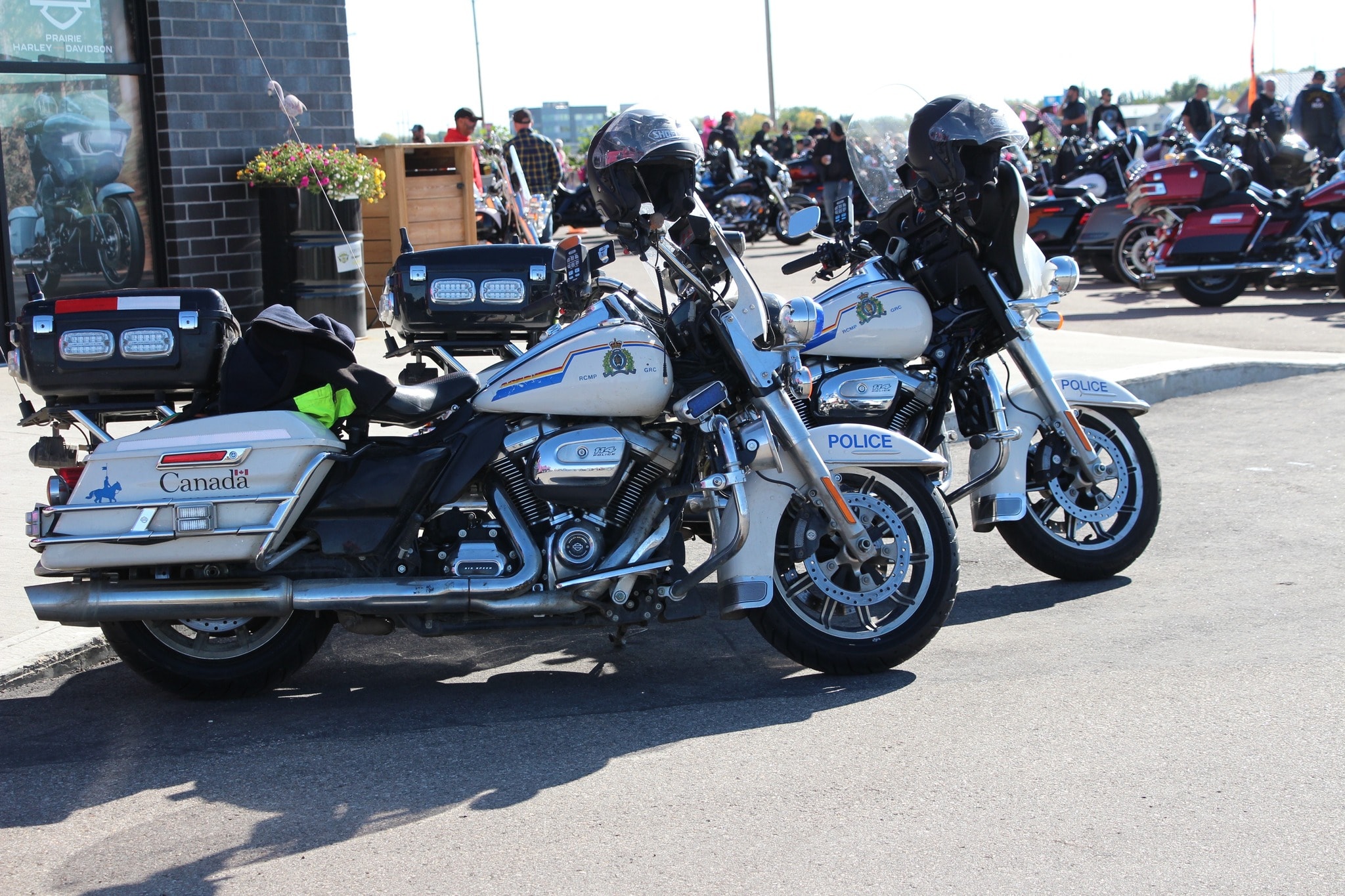 Two RCMP Harley-Davidson police motorcycles parked outside Prairie Harley-Davidson at the 2024 Breast Cancer Awareness Ride